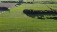 Landwirtschaftliche Fläche im Bramstedermoor - Ostansicht