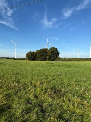 Landwirtschaftliche Fläche im Bramstedermoor, 27628 Bramstedt, Land-/Forstwirtschaft