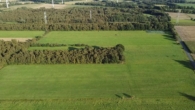 Landwirtschaftliche Fläche im Bramstedermoor - Westansicht
