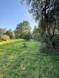 Einfamilienhaus mit viel Platz und Entwicklungspotenzial - Garten
